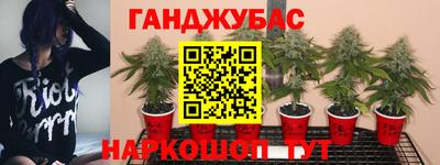 Альфа ПВП Славгород