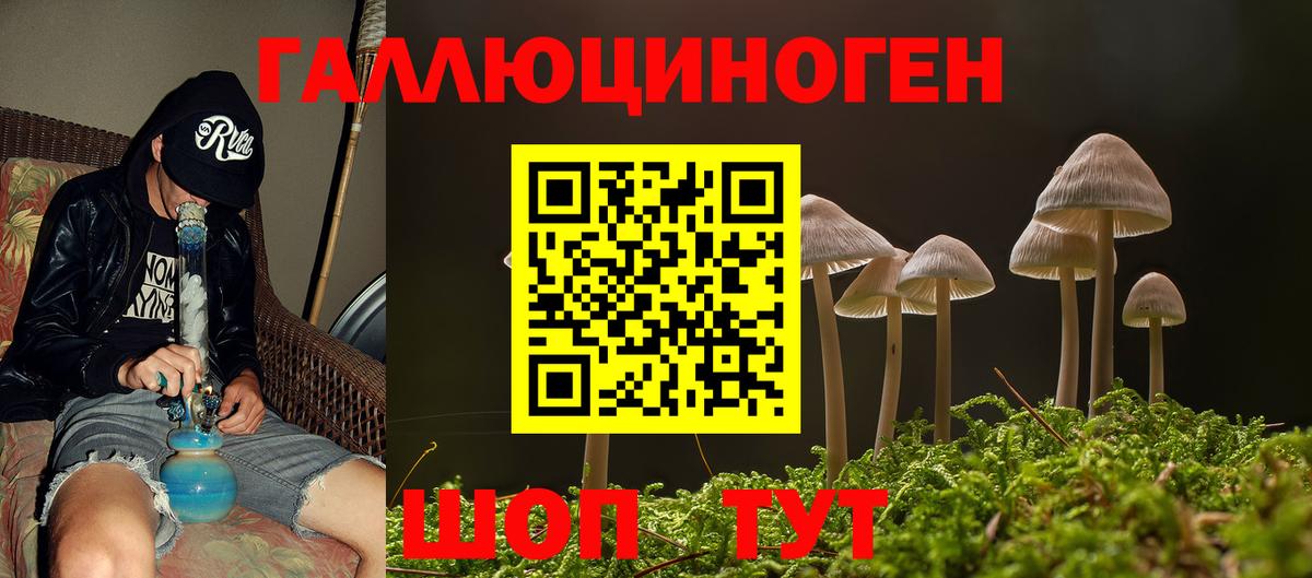 Тамбов  Псилоцибиновые грибы мухоморы  Вход с VPN  Галлюциногенные грибы мухоморы 
